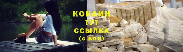 молекула духа Бронницы