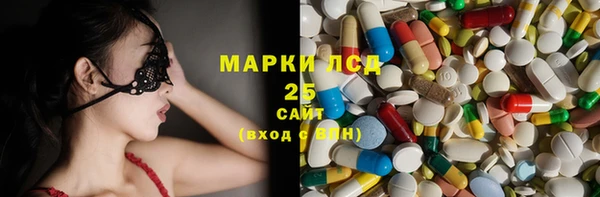 бошки Бородино