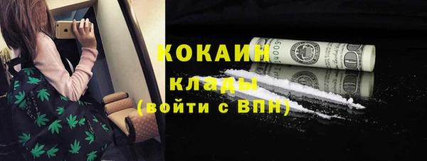 молекула духа Бронницы