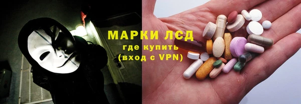 бошки Бородино