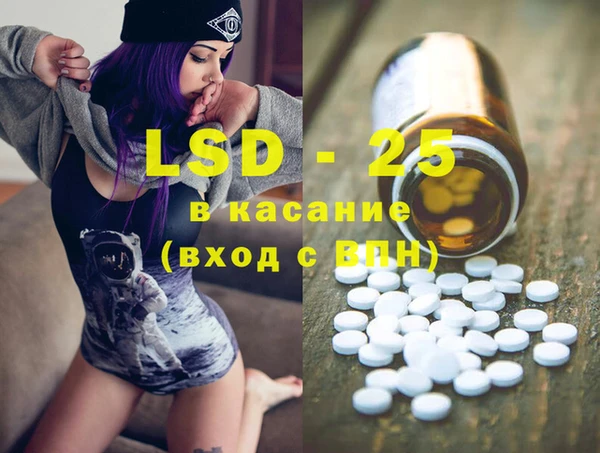 бошки Бородино