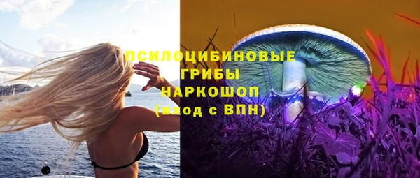 бошки Бородино